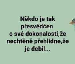 20240501-062136 dokonalý debil.jpg