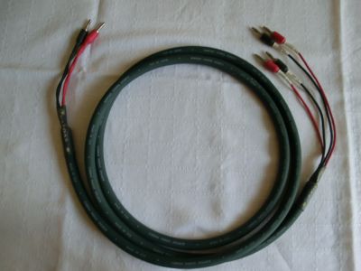147.JPG