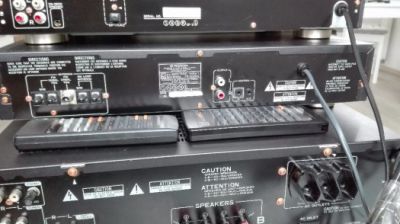 80556455 (3).jpg
