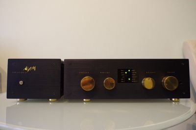 AVM 1.JPG