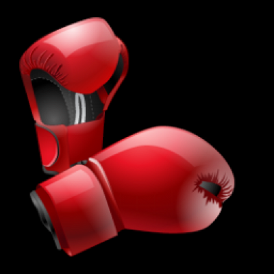 BOXER u� doboxoval ....�es� jeho PAMIATKE !.png