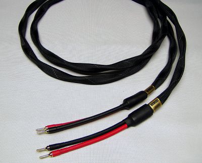 cable4you_squirmy2.jpg