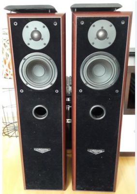 dexon maestro 80.JPG