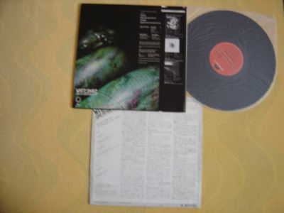DSC07120.JPG