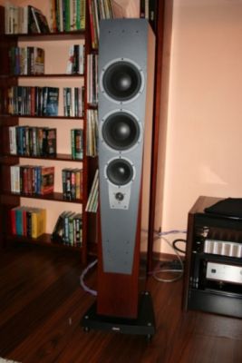 dynaudio Contour 5.4 006.JPG
