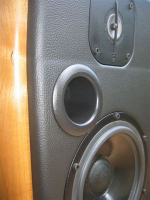 focal ko�a 007.jpg