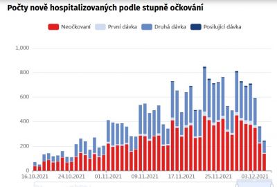 Hospitalizovaní.jpg