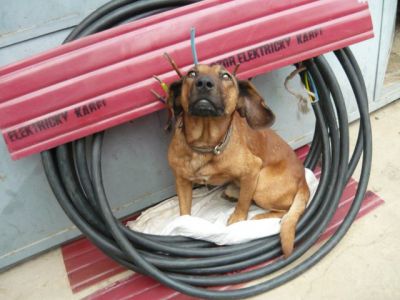 kabel 2 cyky 008.JPG