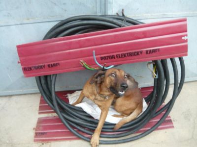 kabel 2 cyky 010 (1).JPG