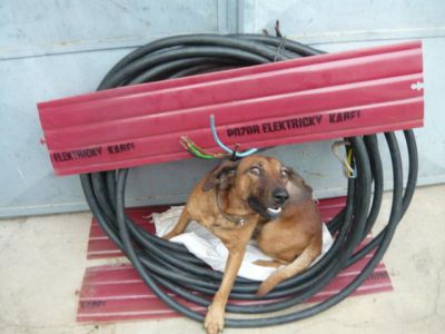 kabel 2 cyky 010.JPG