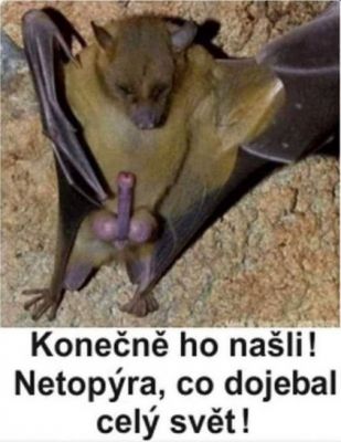 konecne ho nasli.jpg