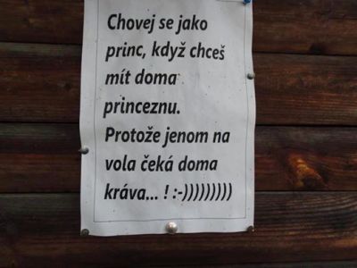 krava.jpg