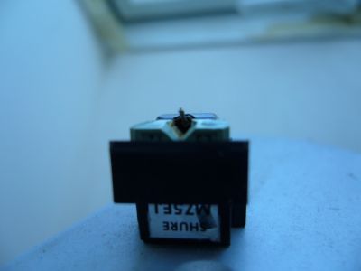 P1020616.JPG