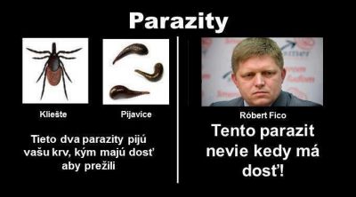 parazity[1].JPG