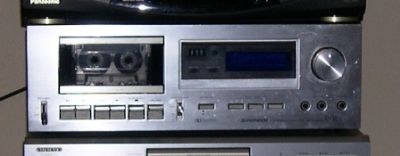 pioneer.male.02.jpg
