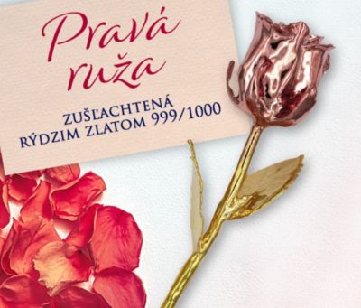 pozlatenaruza.jpg