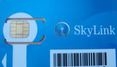 SKYLINK.jpg