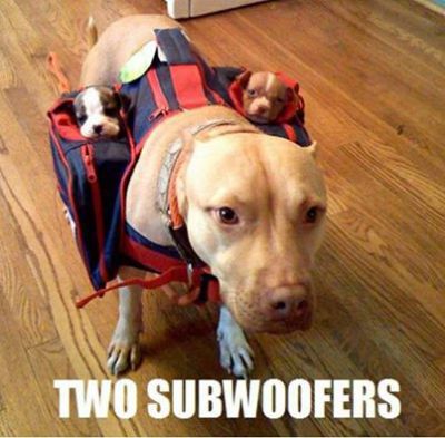 subwoofers.jpg