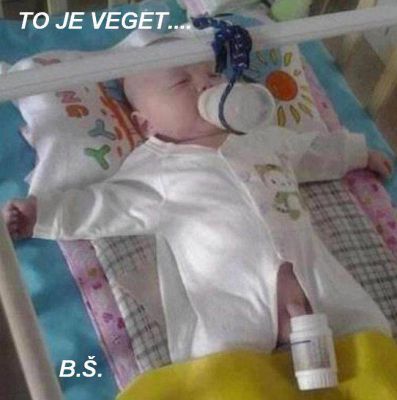 Veget.jpg